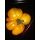White beefsteak