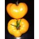 German orange strawberry