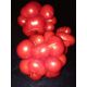Reisetomate