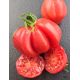 Zapotec pink
