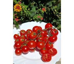 Cherry, výborné, sladké - HR