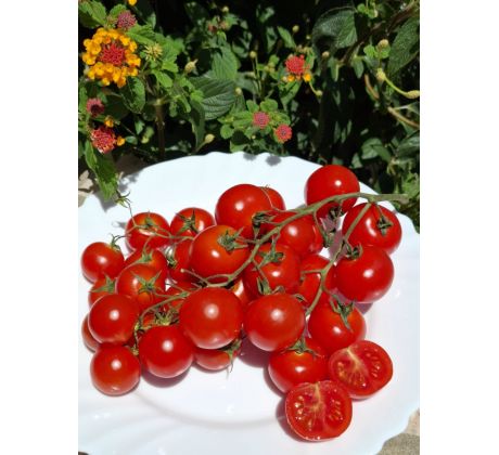 Cherry, výborné, sladké - HR
