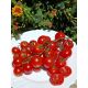 Cherry, výborné, sladké - HR