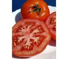 Miris tradicije - HR