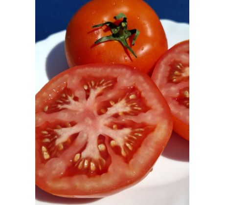 Miris tradicije - HR