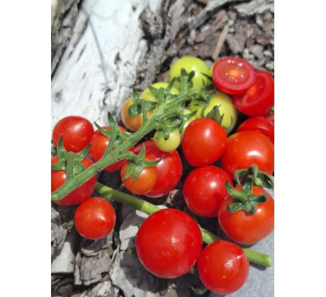 chorvatské cherry přílohové - HR