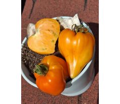 Earth wonder orange
