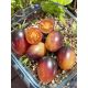 Black kumquat