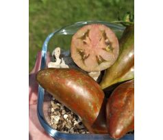 Cuban salami
