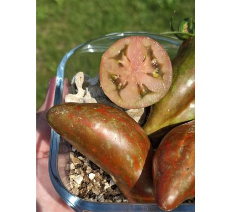 Cuban salami