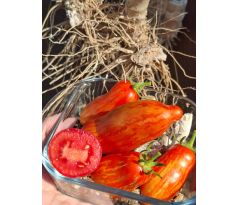 Pepper-shaped striped red