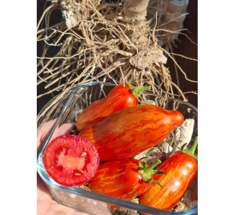 Pepper-shaped striped red