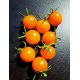 Orange cherry