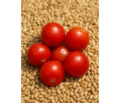 Cherrytomaten - CH