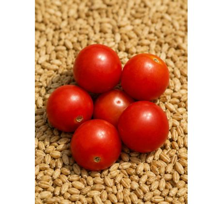 Cherrytomaten - CH